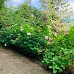 Daire Peaceful Country Living At At Clara