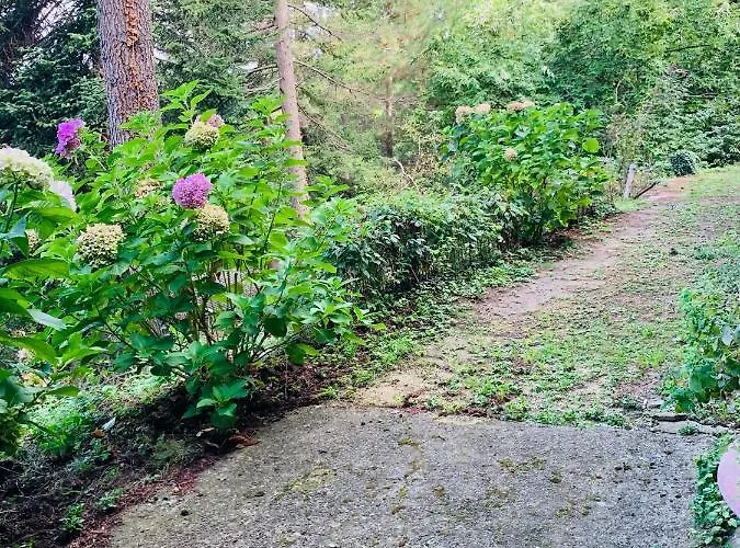 Peaceful Country Living At At Clara * Vimignano-Chiesa