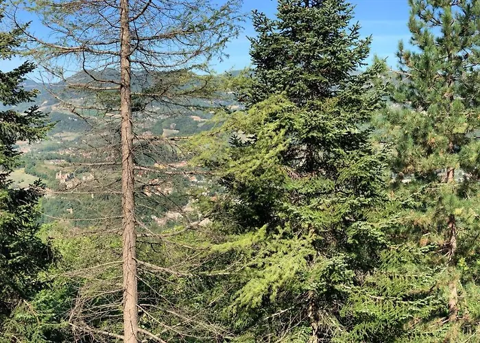 Peaceful Country Living At At Clara Vimignano-Chiesa