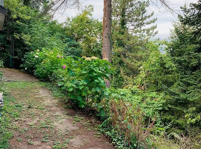 Peaceful Country Living At At Clara Vimignano-Chiesa