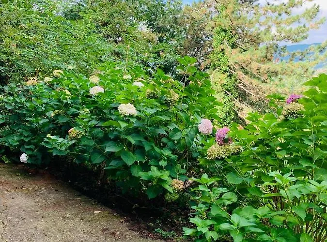 Apartamento Peaceful Country Living At At Clara