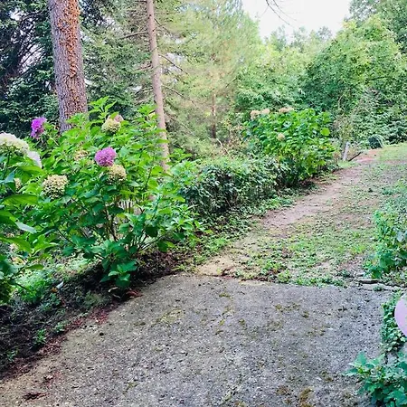 Peaceful Country Living At At Clara * Vimignano-Chiesa