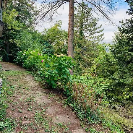 Peaceful Country Living At At Clara Vimignano-Chiesa