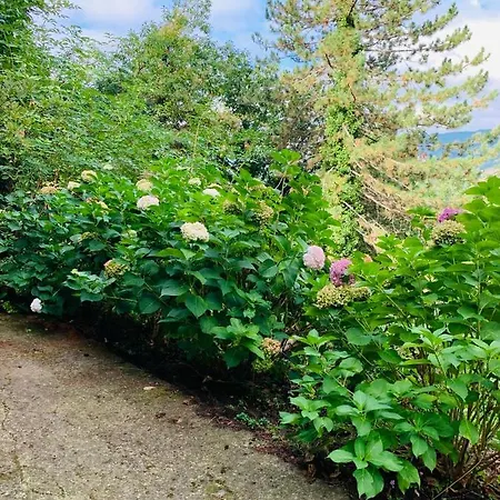 公寓 Peaceful Country Living At At Clara